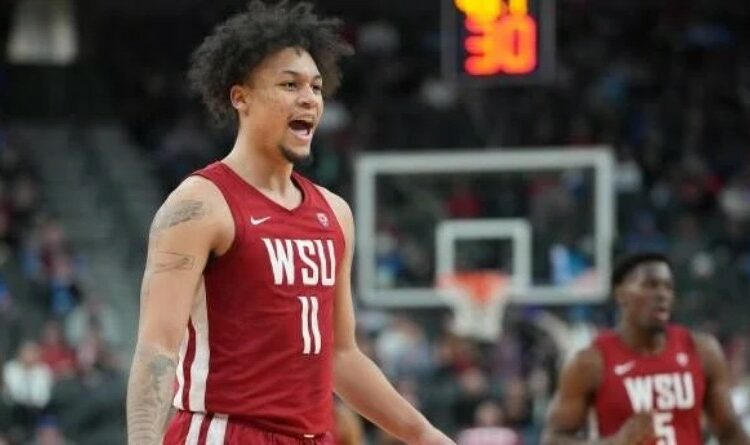 DJ Rodman, the son of Dennis Rodman, transfers to USC