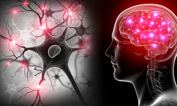 Athletes’ brains have more frontal theta power thanks to mindfulness and relaxation techniques.