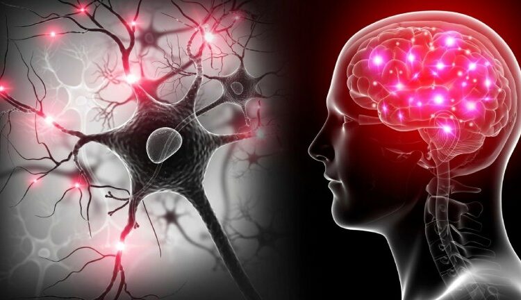 Athletes’ brains have more frontal theta power thanks to mindfulness and relaxation techniques.