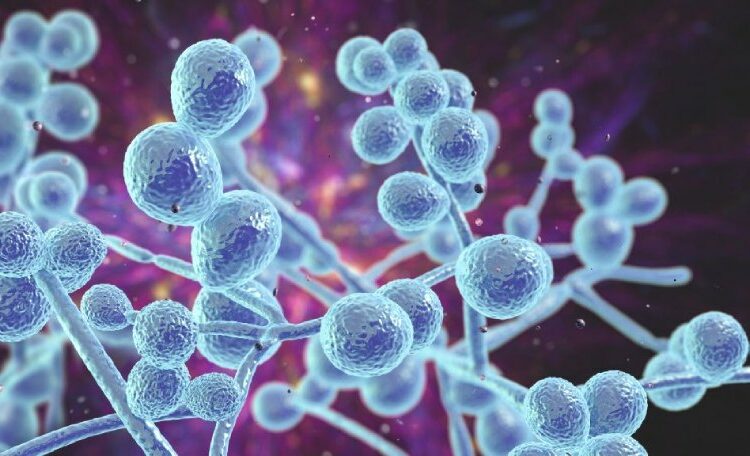 The enigmatic microbes that inhabit tumors