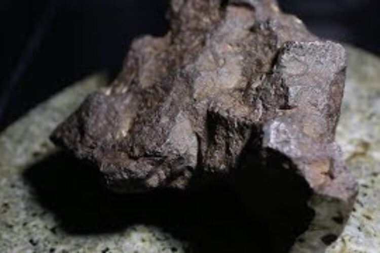 World’s first ‘boomerang shooting star’ — a stone that left Earth, went through centuries in space, then, at that point, returned — potentially found in the Sahara Desert
