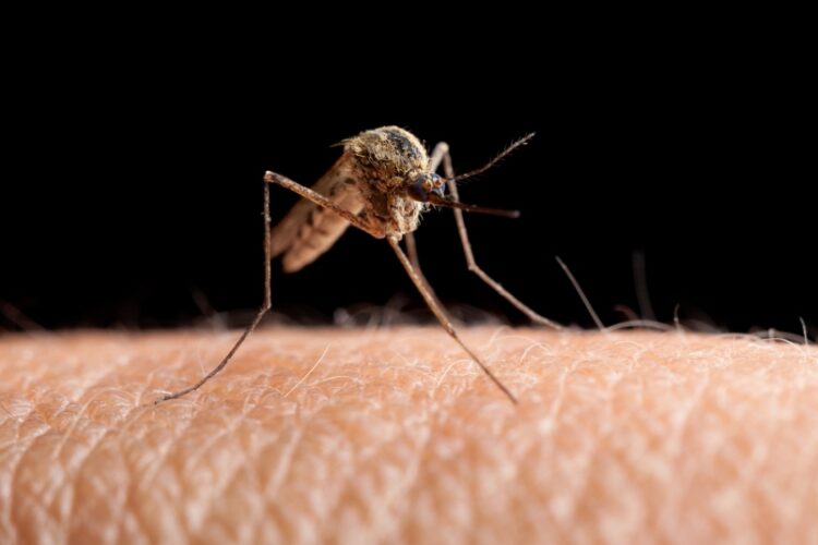 Stronghold Collins plans fifth round of mosquito showering to pack down West Nile infection concerns