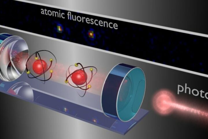 Quantum PC divulges nuclear elements of light-touchy atoms