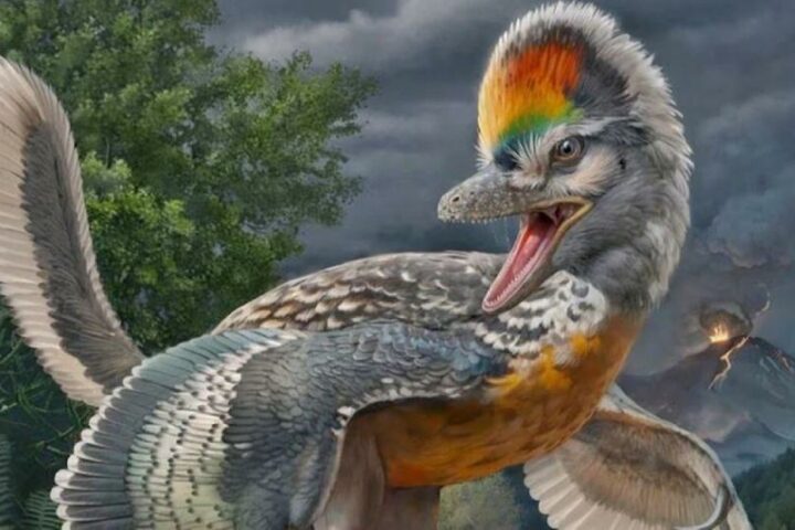 Resolving the Evolutionary Divide: Bird-like dinosaurs of a bizarre new species are discovered by paleontologists.