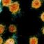 Ohio Coronavirus cases spike to most significant level since mid-January; Sept. 14 update
