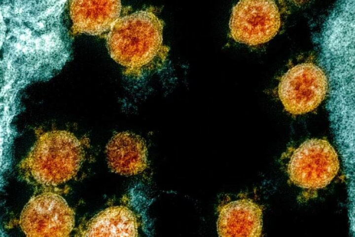 Ohio Coronavirus cases spike to most significant level since mid-January; Sept. 14 update